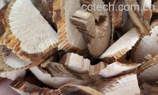 云实根的功效与作用-0