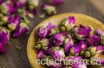 蒲公英跟玫瑰花泡水的功效-0