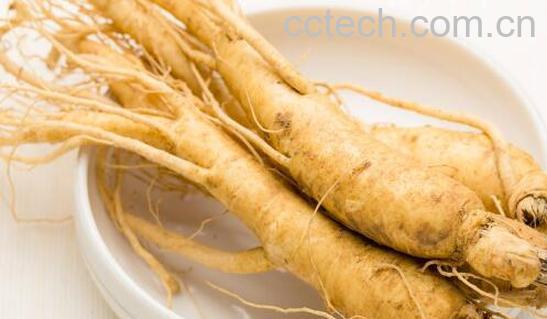 红参与鲜参的功效区别-1