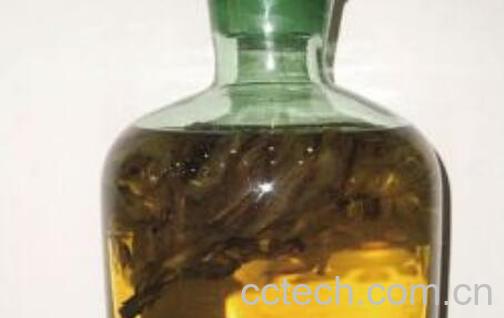 草乌泡酒的功效与作用 草乌怎么泡酒好-1