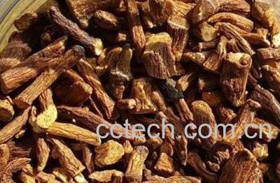 婆婆丁根磨粉能吃吗 婆婆丁根磨粉服用方法技巧-1