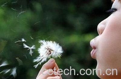 蒲公英过敏恶心头晕怎么办-1