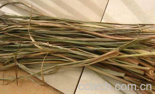 香茅泡脚的功效和忌讳-1