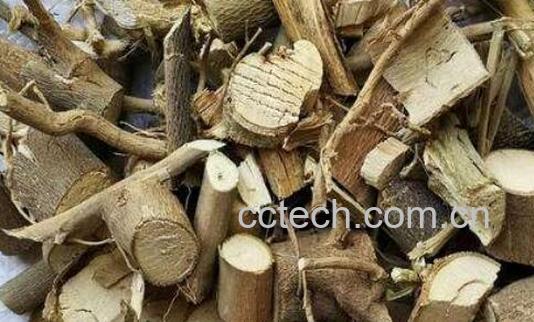 磨盘根的功效与作用-0