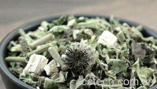 磨盘根的功效与作用-1