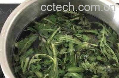 隔夜的蒲公英水能喝吗 蒲公英泡水早上喝好不好-0