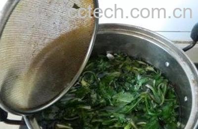 隔夜的蒲公英水能喝吗 蒲公英泡水早上喝好不好-1