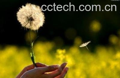  蒲公英打粉怎么吃最好-1