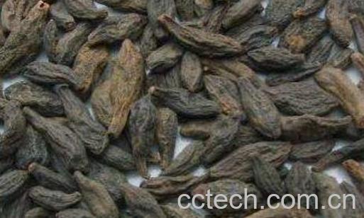 西青果的功效与作用-1