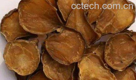 附子片的药用价值 附子片的副作用-0