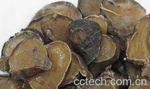 附子片的药用价值 附子片的副作用-1