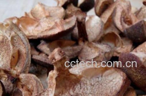 油茶壳泡水有什么功效-1