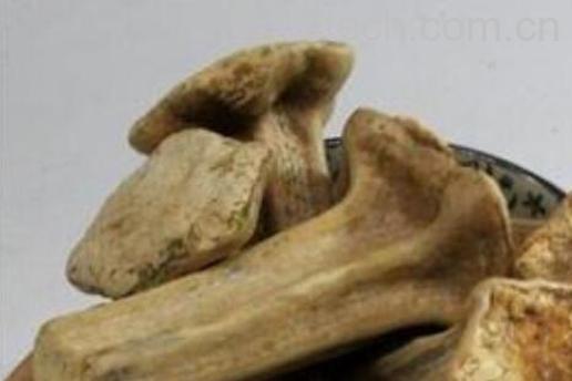 老南瓜蒂的功效与作用-0