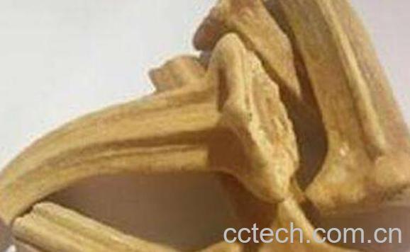 老南瓜蒂的功效与作用-1