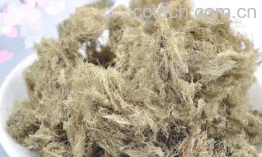 中药云雾草的功效与作用-1