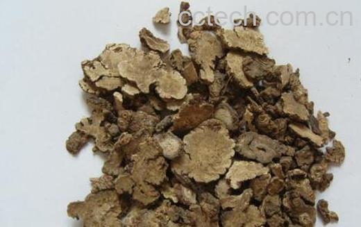 酒川芎怎么制作 酒川芎的炮制方法-1