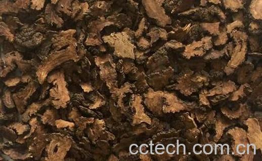 酒川芎怎么制作 酒川芎的炮制方法-0