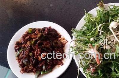 蒲公英根生熟区别-1