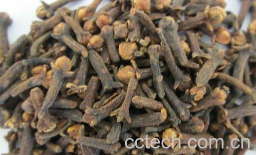 公丁香泡水喝的功效与作用-1