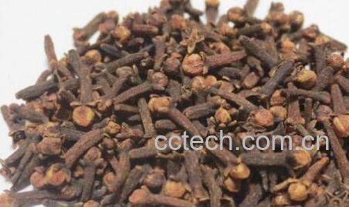 公丁香泡水喝的功效与作用-0