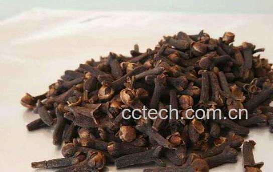 母丁香和公丁香香料的区别-0