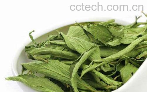 甜叶菊泡水喝的功效与作用及禁忌-0