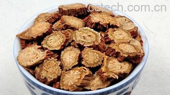 丹参的功效与作用及禁忌-0