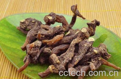 黄精对女人有哪些好处-1