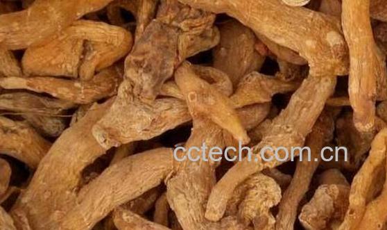 哪些人不宜吃黄精 吃黄精的禁忌-1