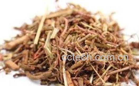 红线草的功效与作用-0