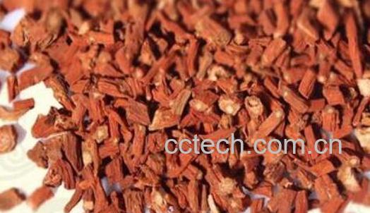 紫丹参和丹参的区别 紫丹参的食用方法-0