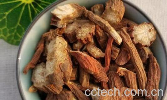 白丹参和红丹参的区别 白丹参的功效-0