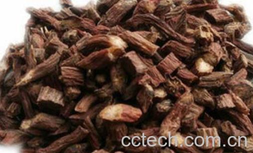 红丹参的作用和功效-1