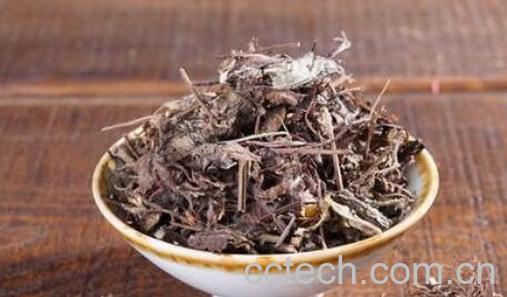 紫根草的功效与作用 紫根草的副作用-1