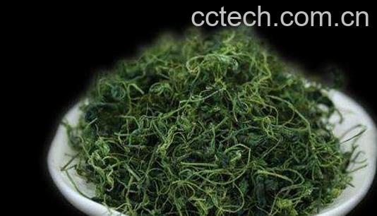 绞股蓝泡水喝的功效与好处-1