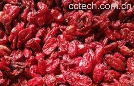 山萸肉的功效作用 吃山萸肉的好处-1