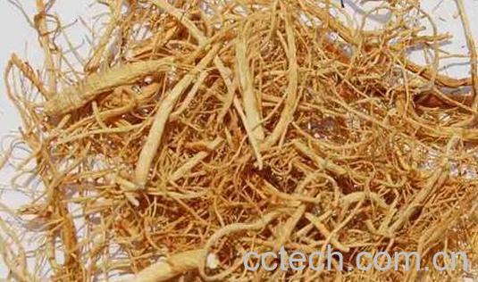 山参须的功效与作用 山参须的副作用-0