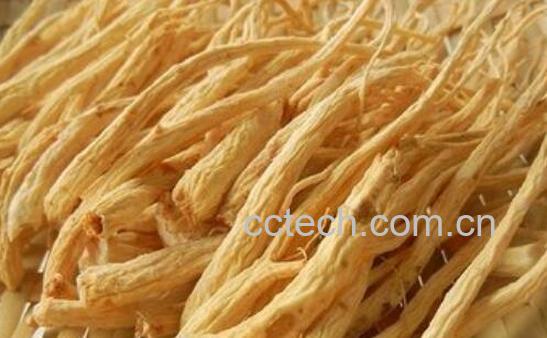 山参须的功效与作用 山参须的副作用-1