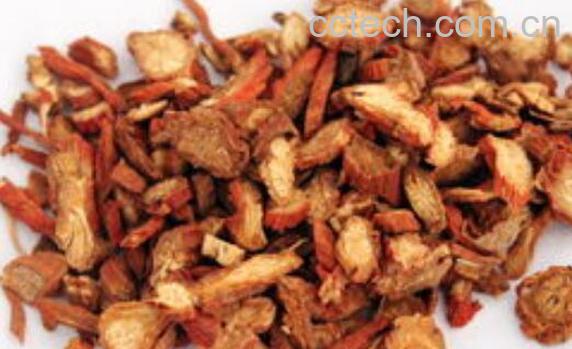 红丹参的功效与副作用-1