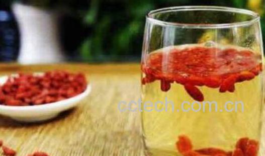 枸杞子泡水喝的功效及好处-0