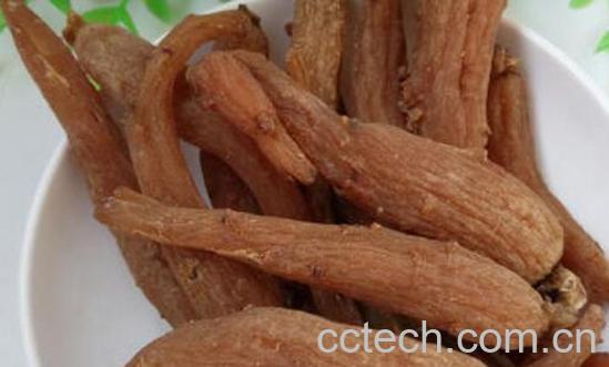 女性吃红参的最佳时间 长期喝红参对女人的好处-0