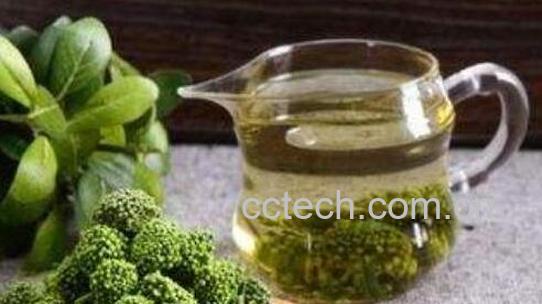 三七花泡水喝的功效-1