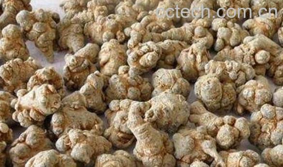 川三七的功效与作用-0