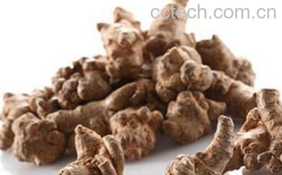 川三七的功效与作用-1