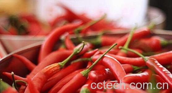 医用辣椒素的功效与作用-1