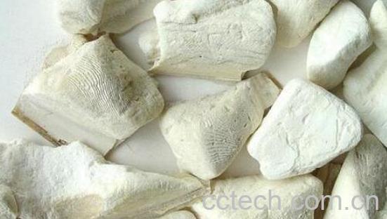  乌贼骨粉的功效与作用及禁忌-1