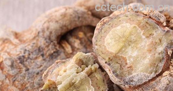 活性三七和普通三七的区别 活性三七的吃法-0