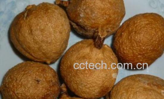 屈头鸡的功效与作用 什么人群不适宜吃屈头鸡-1