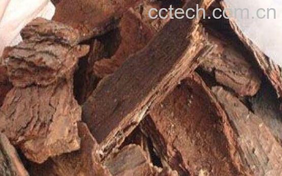 松木皮的功效与作用-1