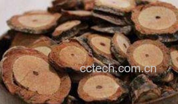 五香藤的功效与作用-1